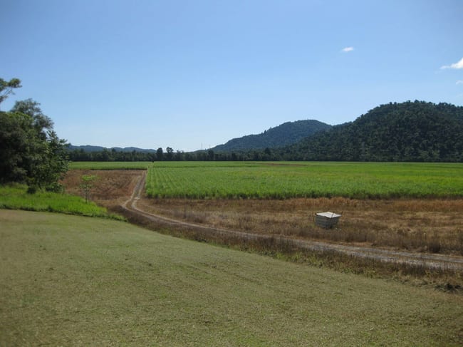 1136 Silkwood-Japoon Road Japoonvale QLD 4856 1136 Silkwood-Japoon Road Japoonvale QLD 4856