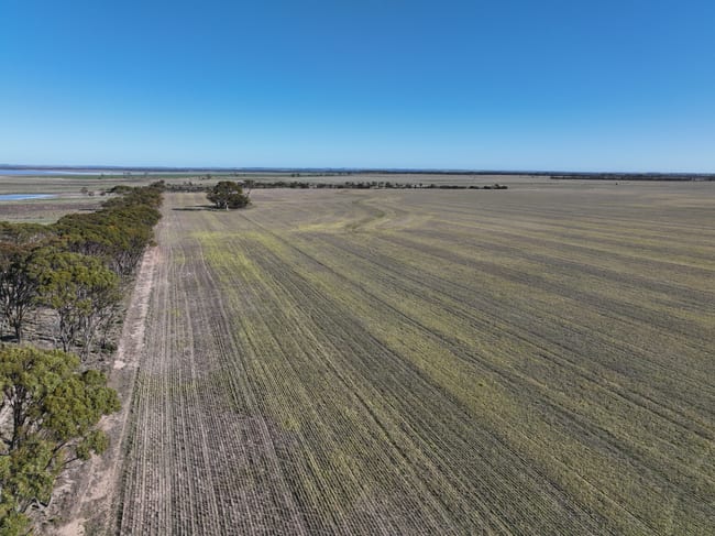 1345 Pingrup-Lake Grace Road Pingrup WA 6343 1345 Pingrup-Lake Grace Road Pingrup WA 6343