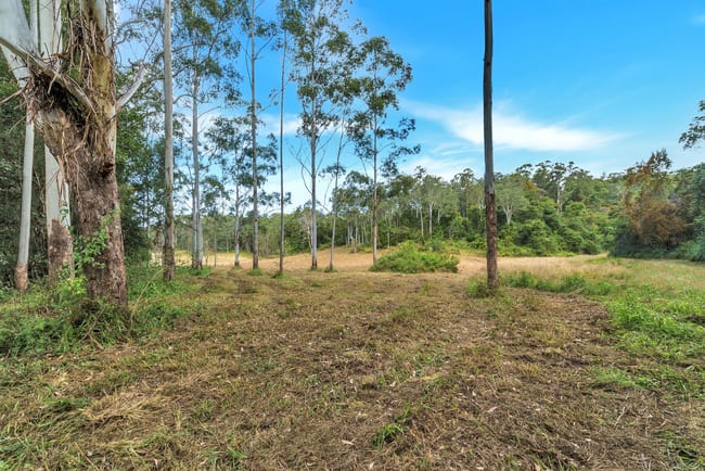 59 Basin Road Brierfield NSW 2454