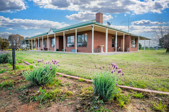 1610 Henty Walla Road Culcairn NSW 2660 1610 Henty Walla Road Culcairn NSW 2660