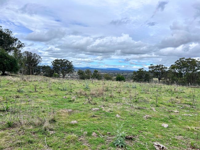 Lot 102 Jenkyn Lane Uralla NSW 2358