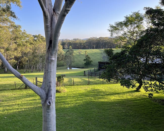 36 Vincents Road Kurrajong NSW 2758 36 Vincents Road Kurrajong NSW 2758
