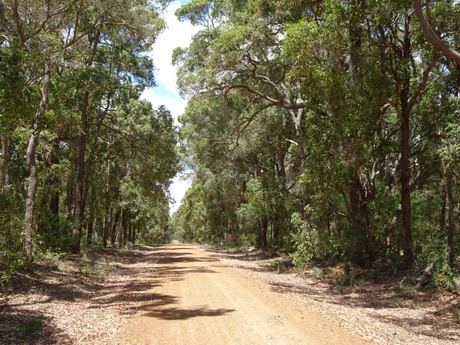 1386 Perillup Road South Rocky Gully WA 6397