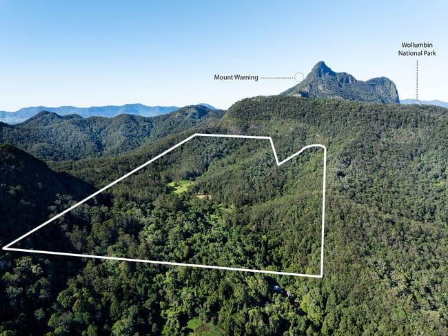 197 Tree Fern Road Mount Warning NSW 2484 197 Tree Fern Road Mount Warning NSW 2484