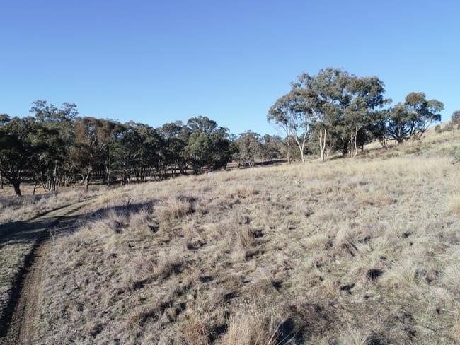 924 Chilcotts Creek Road Willow Tree NSW 2339