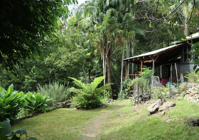 321 Blackhorse Road Eden Creek NSW 2474 321 Blackhorse Road Eden Creek NSW 2474