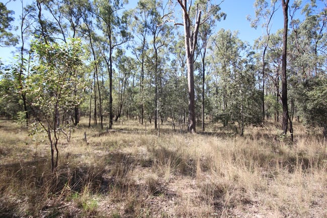 280 Stanmore Road, Coonambula Mundubbera QLD 4626 280 Stanmore Road, Coonambula Mundubbera QLD 4626