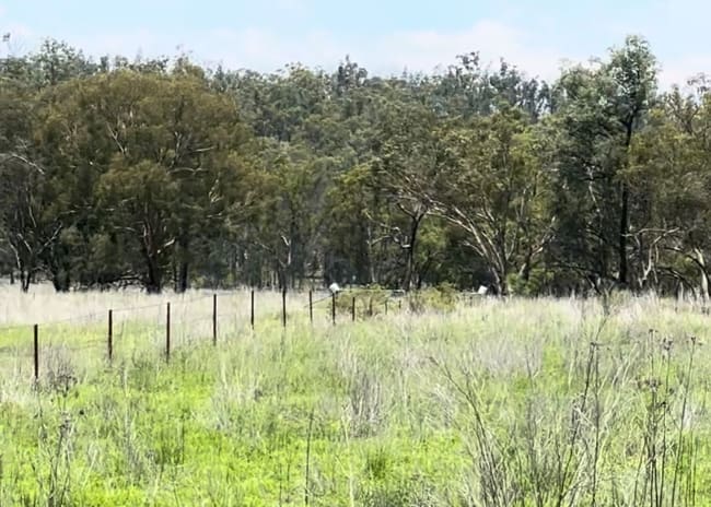 Lot 24 Twin Creek Road Coolatai NSW 2402 Lot 24 Twin Creek Road Coolatai NSW 2402