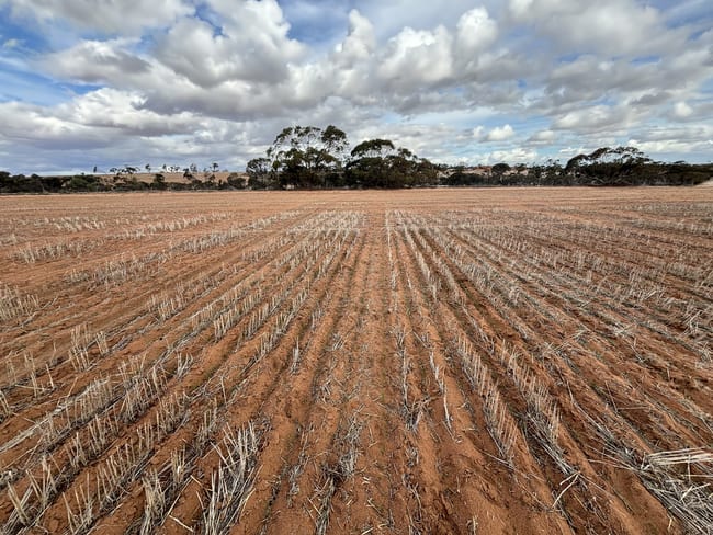Lot 308 Burton Road Ambania WA 6632 Lot 308 Burton Road Ambania WA 6632