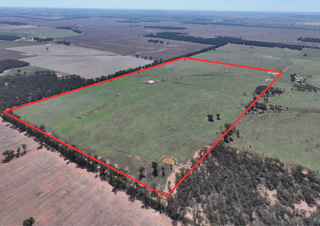 'Wildwood' 977 Schmidts Road Temora NSW 2666 'Wildwood' 977 Schmidts Road Temora NSW 2666