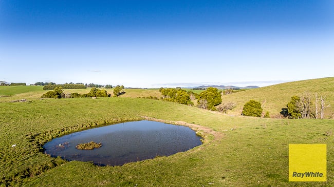 500 Buffalo North Road Buffalo VIC 3958 500 Buffalo North Road Buffalo VIC 3958