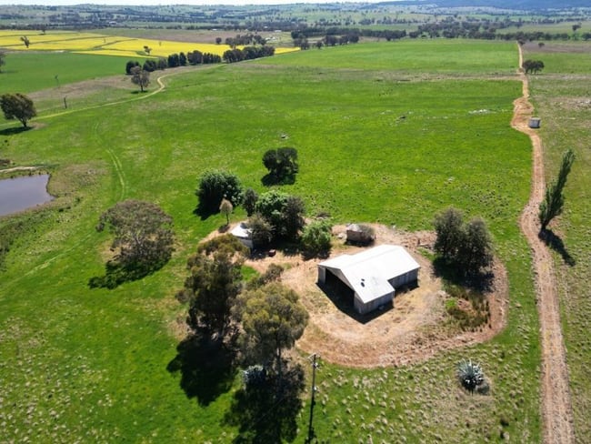 443 Wirrimah Road,Bendick Murrell Wirrimah NSW 2803 443 Wirrimah Road,Bendick Murrell Wirrimah NSW 2803