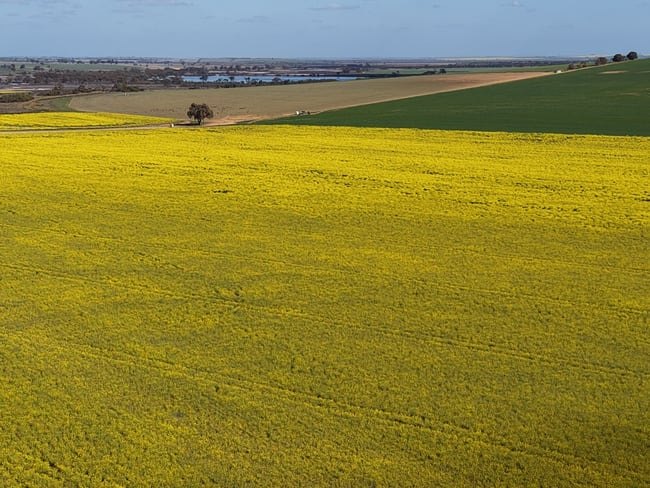 Quairading South Road Dangin WA 6383 Quairading South Road Dangin WA 6383