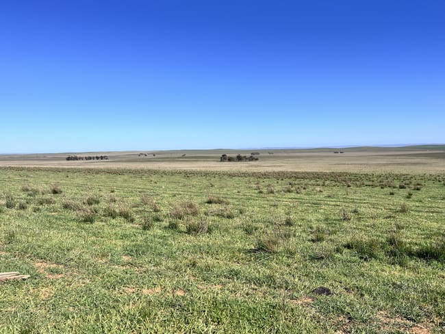 "Strathayr" 846 Cleary Road Sunnybrae SA 5422 "Strathayr" 846 Cleary Road Sunnybrae SA 5422