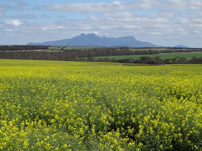 441 Oakdale Road Cowalellup WA 6336 441 Oakdale Road Cowalellup WA 6336