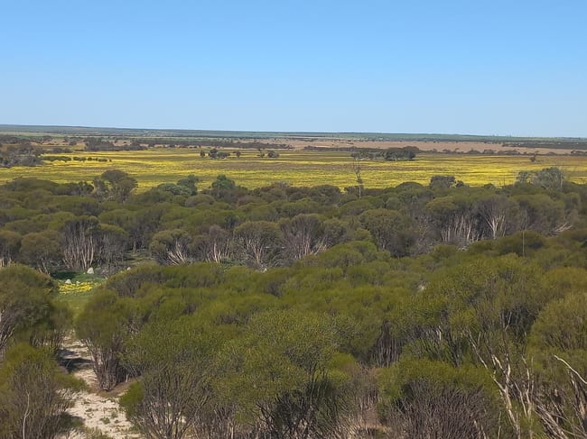 998 Watson Road Latham WA 6616