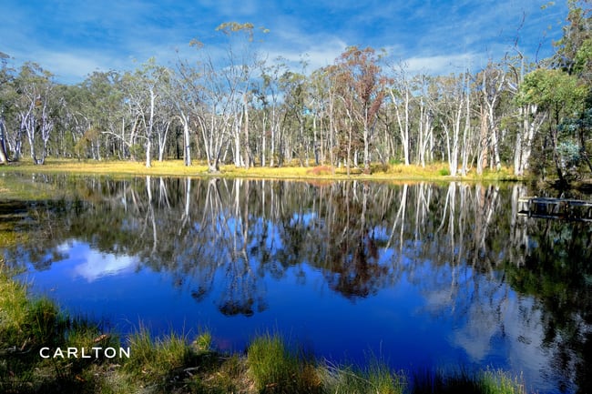 Canyonleigh NSW 2577 Canyonleigh NSW 2577