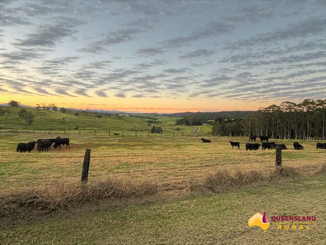 Yungaburra QLD 4884 Yungaburra QLD 4884