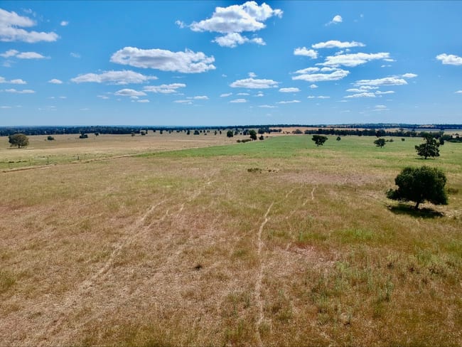 1032 Manna Forest Rd Burcher NSW 2671