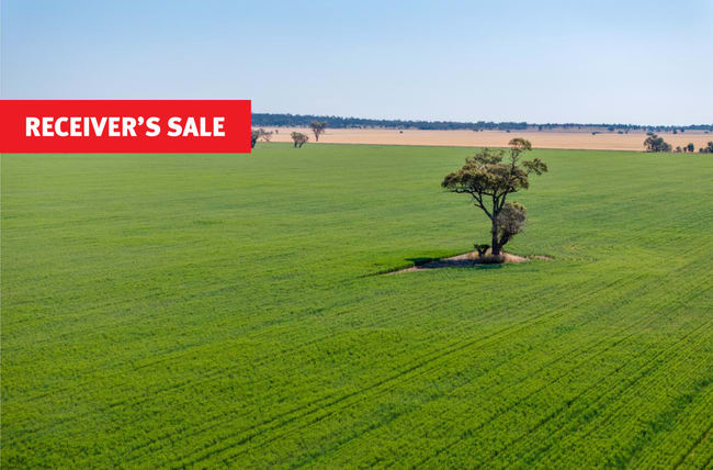 1040 Merribee Road Binya NSW 2665 1040 Merribee Road Binya NSW 2665