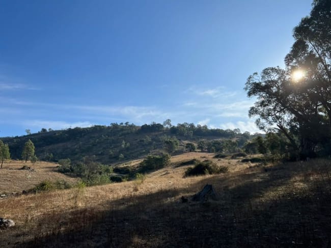 Lot 4, 750 Harrys Creek Road Violet Town VIC 3669 Lot 4, 750 Harrys Creek Road Violet Town VIC 3669