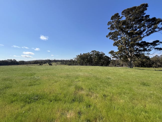 173 Walter Road Scotsdale WA 6333 173 Walter Road Scotsdale WA 6333