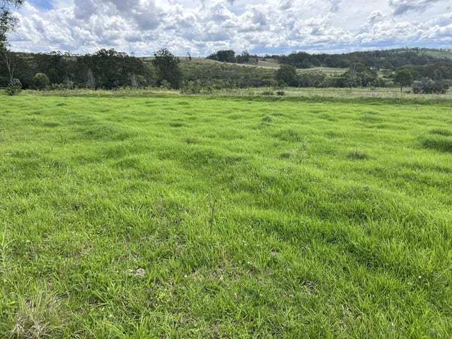 Pechey QLD 4352 Pechey QLD 4352
