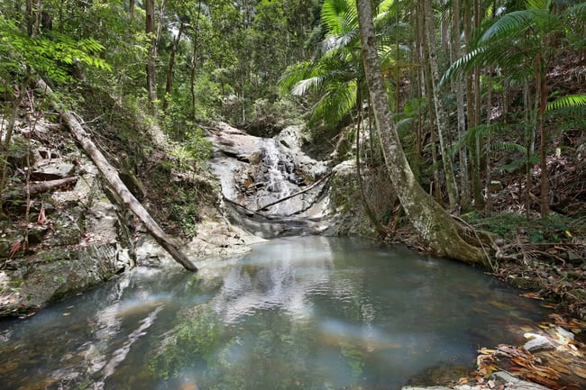 138 Araluen Road Tallebudgera Valley QLD 4228 138 Araluen Road Tallebudgera Valley QLD 4228
