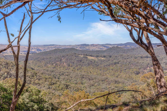 Lot 2/272 Curragh Road Trunkey Creek NSW 2795