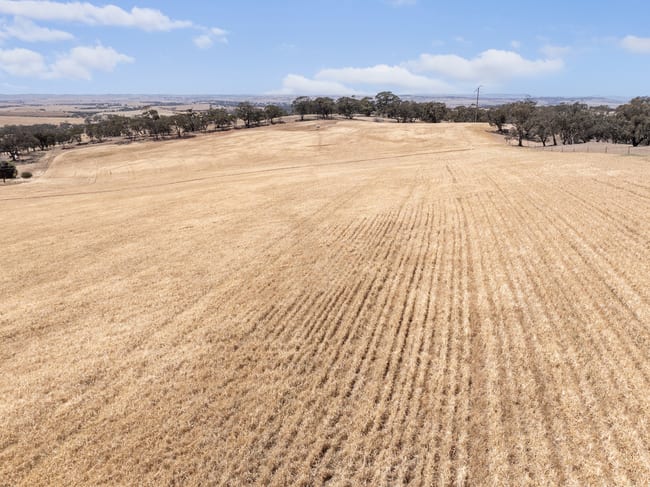 Lot 90 Tarlee Road Kapunda SA 5373 Lot 90 Tarlee Road Kapunda SA 5373