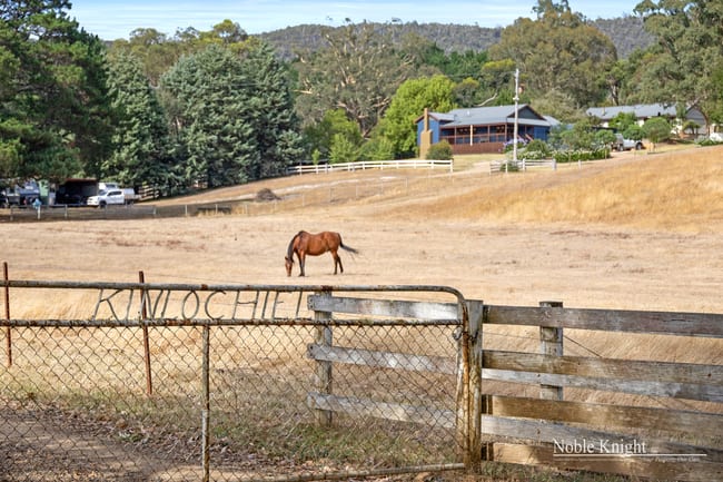 320 Moores Road Flowerdale VIC 3717