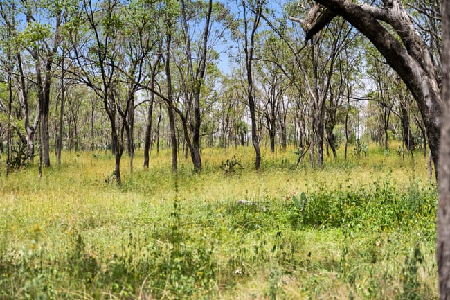 "Keheler Park" Lot89 Springate Lane Pratten QLD 4370