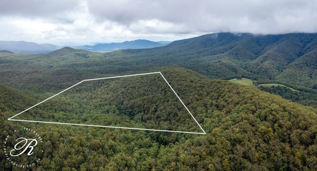 Berrico NSW 2422