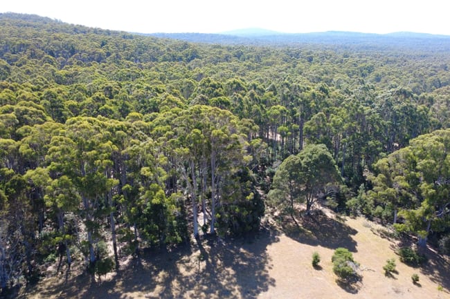 LOT 1 BRIDPORT ROAD Pipers River TAS 7252 LOT 1 BRIDPORT ROAD Pipers River TAS 7252