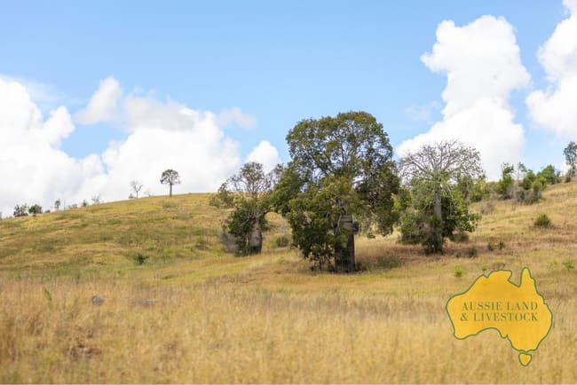 280 HOCHMUTHS ROAD Cattle Creek QLD 4626 280 HOCHMUTHS ROAD Cattle Creek QLD 4626