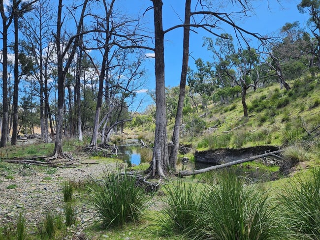 Lot 2 Stanthorpe Texas Road Stanthorpe QLD 4380 Lot 2 Stanthorpe Texas Road Stanthorpe QLD 4380