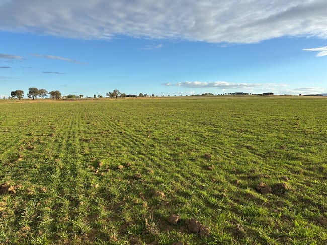 156 Warral-Bithramere Road Tamworth NSW 2340
