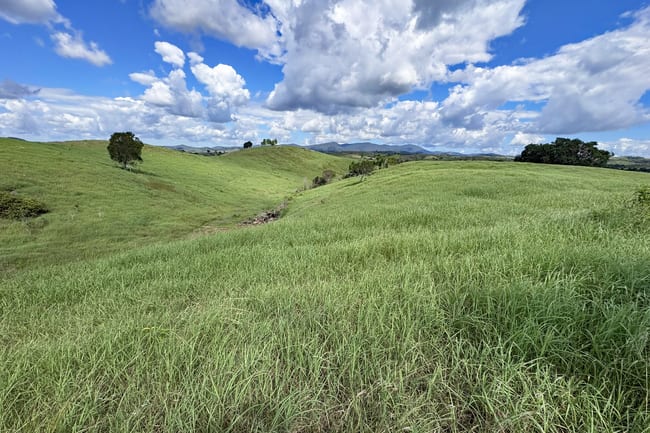Kellys Road Bracewell QLD 4695 Kellys Road Bracewell QLD 4695