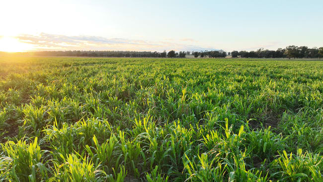 214 Drillham South Road Drillham QLD 4424 214 Drillham South Road Drillham QLD 4424