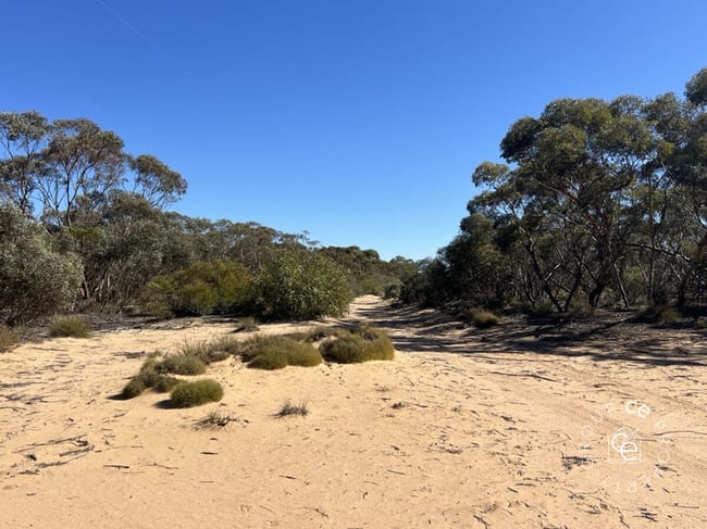 Lot 31 Black Hill Road Cambrai SA 5353