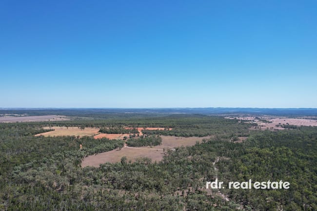 526 Bedwell Downs Rd Ashford NSW 2361