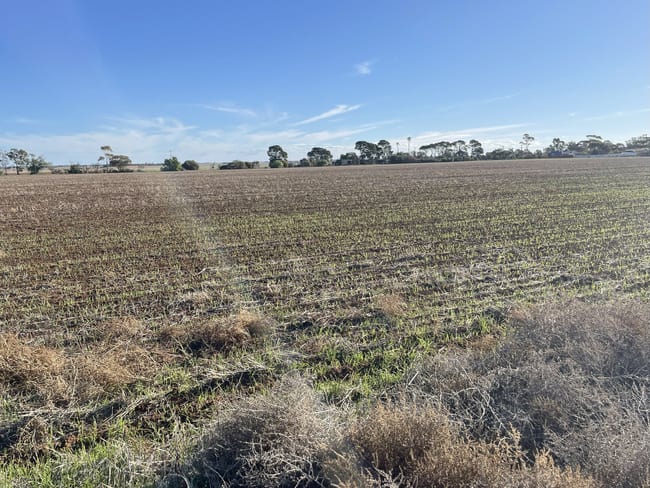 Lot 405 North West Terrace Warnertown SA 5540 Lot 405 North West Terrace Warnertown SA 5540