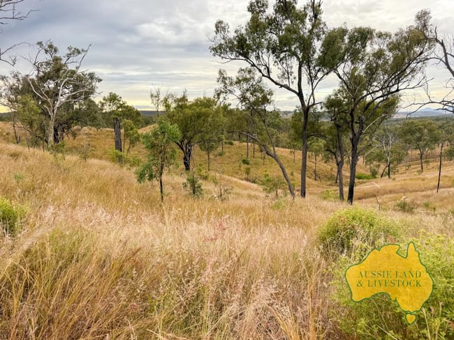 "Chapmans", Lot 14 Monto Mount Perry Road Mungy QLD 4671 "Chapmans", Lot 14 Monto Mount Perry Road Mungy QLD 4671