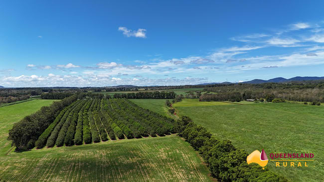 Banchio Road Tolga QLD 4882