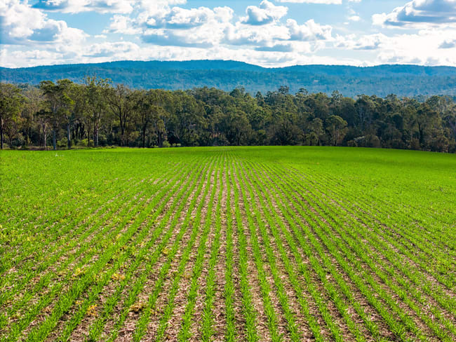 119 Paddys Flat Road Tabulam NSW 2469 119 Paddys Flat Road Tabulam NSW 2469