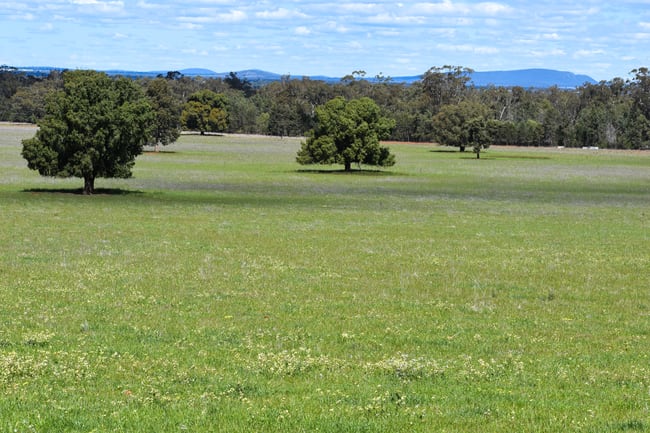 120 Melrose Plains Road Fifield NSW 2875 120 Melrose Plains Road Fifield NSW 2875