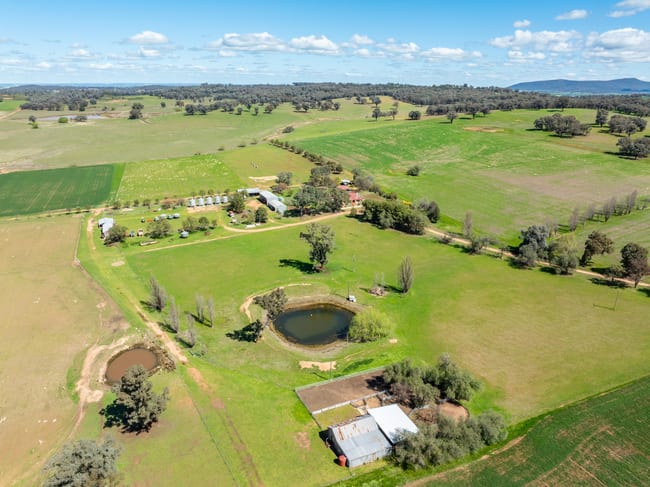 100 Grahams Lane Grenfell NSW 2810