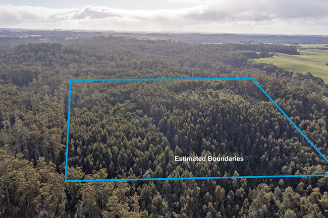 PID 6191426 South Riana Road Upper Natone TAS 7321 PID 6191426 South Riana Road Upper Natone TAS 7321