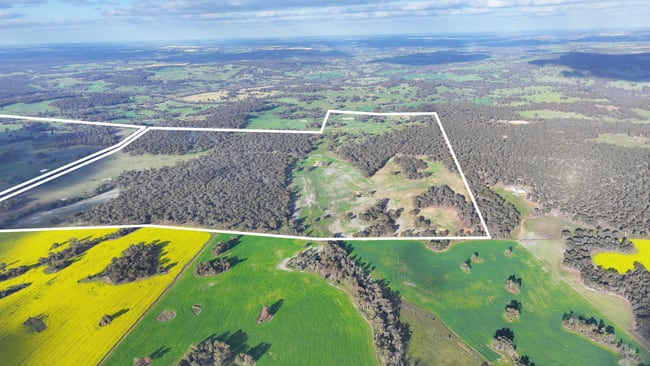 1705 Gibbs Road Trigwell WA 6244 1705 Gibbs Road Trigwell WA 6244