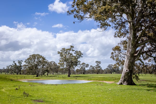 30 Armidale Rd Coojar VIC 3315 30 Armidale Rd Coojar VIC 3315